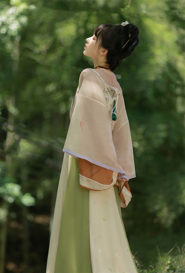 Chinese Traditional Dress Hanfu Clothing Female