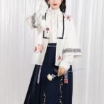 Chinese Traditional Improved Costume Hanfu Inspired Clothing