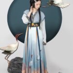 Fashion Hanfu Chinese Tang Style Hanfu Dress Cosplay