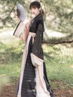 Traditional Chinese Costume Jin Dynasty Hanfu Dress - Image 2
