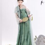Chinese Tang Dynasty Hanfu Modern Green Hanfu Dress