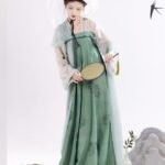 Chinese Tang Dynasty Hanfu Modern Green Hanfu Dress