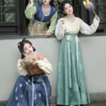 Chinese Traditional Clothing Han Dynasty Hanfu Female
