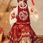 Hanfu Clothing Female Traditional Chinese Hanfu Dress for Daily Wear