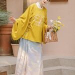 Chinese Style Hanfu Dress Adult Female Photography Set