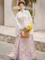 Chinese Style Hanfu Dress Adult Female Photography Set - Image 4