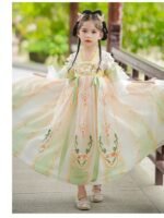 Ethereal Chinese Girl Dress Embroidery Fairy Hanfu Costume - Image 3