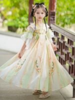 Ethereal Chinese Girl Dress Embroidery Fairy Hanfu Costume - Image 2