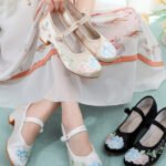 Hanfu Embroidered Shoes | Floral Chinese Traditional Mary Janes