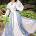 Jin Dynasty Hanfu Womens Clothing