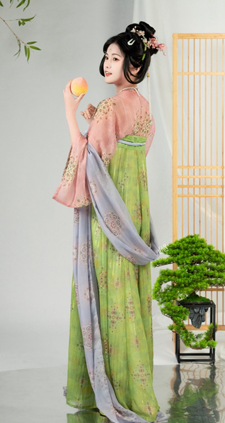 Chinese Late Tang Dynasty Hanfu Dress