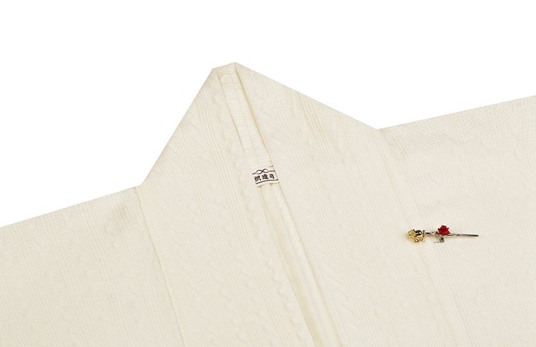 Mamian Skirt Ming Dynasty Hanfu Drss
