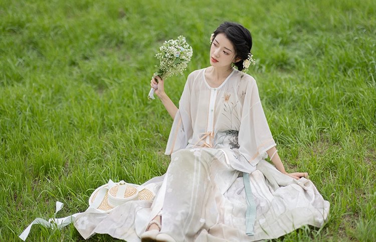 Ming Style Hanfu Dress