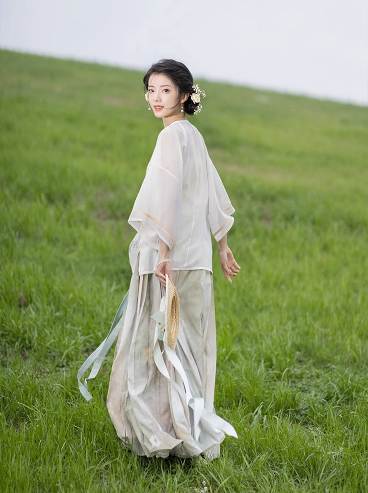 Ming Style Hanfu Dress