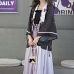 Fashion Hanfu Elegant Modern Hanfu Retro Dress Female