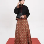 New Chinese Style Dress – Elegant Modern Chinese Formal Dress for Women