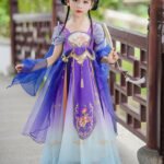 Exotic Hanfu Dress for Girls Princess Fairy Costume