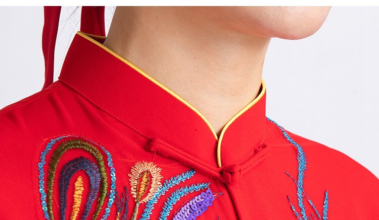 Close-up of traditional stand collar and phoenix embroidery