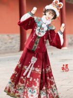Festive Embroidered Hanfu Set Winter Brocade Hanfu - Image 2