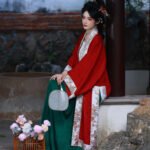 Song Dynasty Hanfu Set for Women Chinese Clothing
