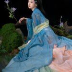 Tang Dynasty Hanfu Clothing Set – Chinese Traditional Dress