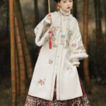 Traditional Chinese Dress Hanfu Ming Dynasty Dress