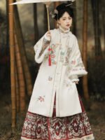Traditional Chinese Dress Hanfu Ming Dynasty Dress