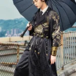 Traditional Chinese Robes Embroidery Hanfu