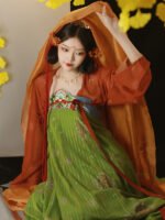 Chinese Ancient Style Traditional Hanfu Qixiong Ruqun - Image 2