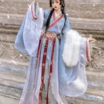 Wei Jin Princess Hanfu Dress with Embroidered