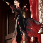 Wuxia Hanfu Outfit for Women – Song Style Martial Arts Costume Set