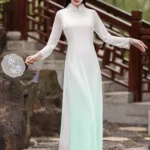 Gradient Chiffon Tea Dress Long Cheongsam Style