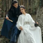 Ancient Chinese Hanfu Dress Embroidery Hanfu