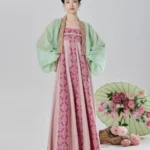 Chinese Costume Female Elegant Hanfu Dress