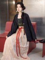 Chinese Dress Outfit Ming Style Hanfu Shirt and Dress - Image 2