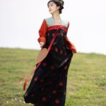 Chinese Hanfu Dress Female Tang Dynasty Dress
