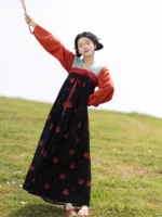 Chinese Hanfu Dress Female Tang Dynasty Dress - Image 2