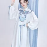 Chinese Hanfu Ming Dynasty Clothes Long Shirt With Dress