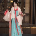 Chinese Hanfu Tang Dynasty Dress Female