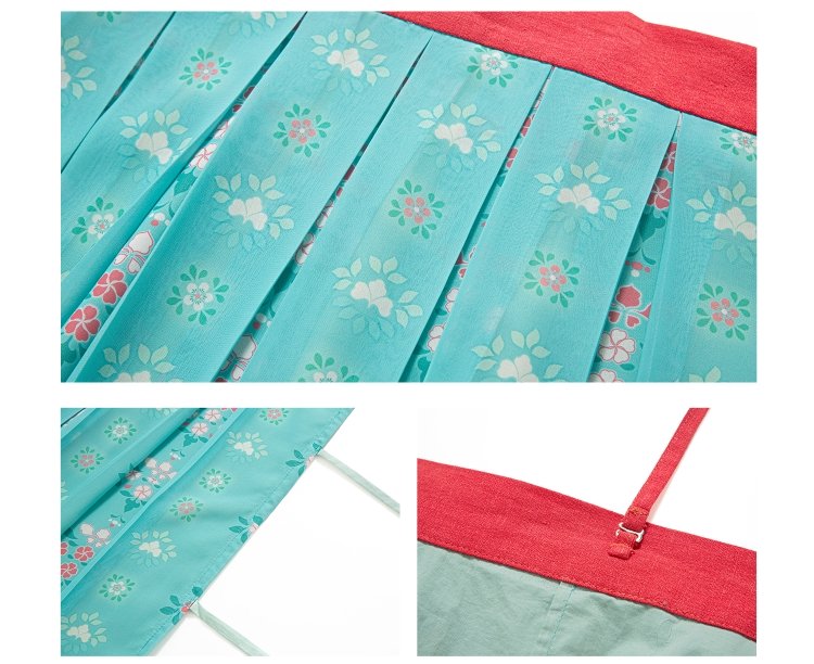 Chinese Hanfu Tang Dynasty Dress Female