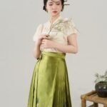 Chinese Modern Dress Ming Dynasty Fashion Hanfu