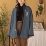 Chinese Modern Hanfu Dress Song Dynasty Fashion Hanfu