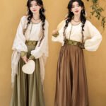 Chinese Style Dresses Women Modern Hanfu