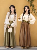 Chinese Style Dresses Women Modern Hanfu