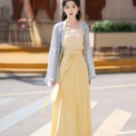Chinese Style Spring Dress Jin Dynasty Hanfu