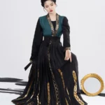 Chinese Traditional Clothing Modern Hanfu Female