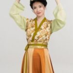 Chinese Traditional Clothing Tang Dynasty Hanfu