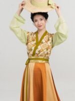 Chinese Traditional Clothing Tang Dynasty Hanfu