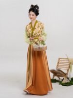 Chinese Traditional Clothing Tang Dynasty Hanfu - Image 4