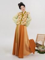 Chinese Traditional Clothing Tang Dynasty Hanfu - Image 5